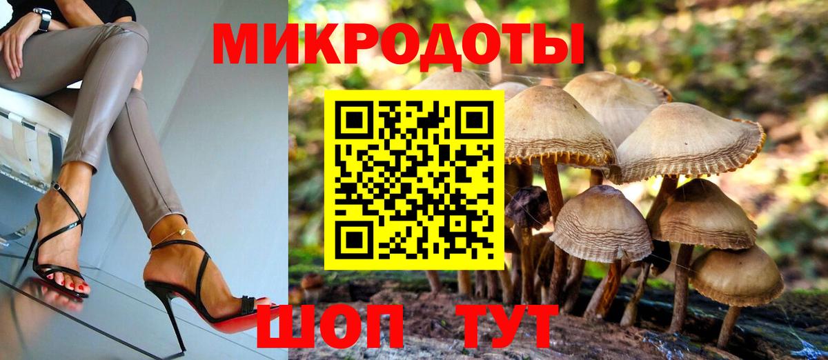 закладка  Псилоцибиновые грибы GOLDEN TEACHER  Вход с VPN  Новороссийск 